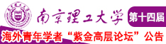 日逼视频网,南京理工大学第十四届海外青年学者紫金论坛诚邀海内外英才！